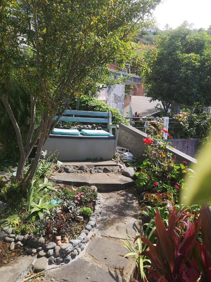 Casa-Albatros Villa Ponta do Sol  Eksteriør billede