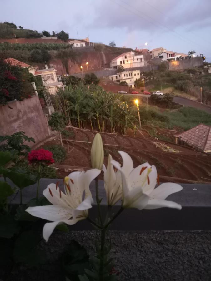 Casa-Albatros Villa Ponta do Sol  Eksteriør billede