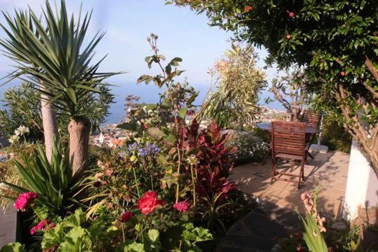 Casa-Albatros Villa Ponta do Sol  Eksteriør billede