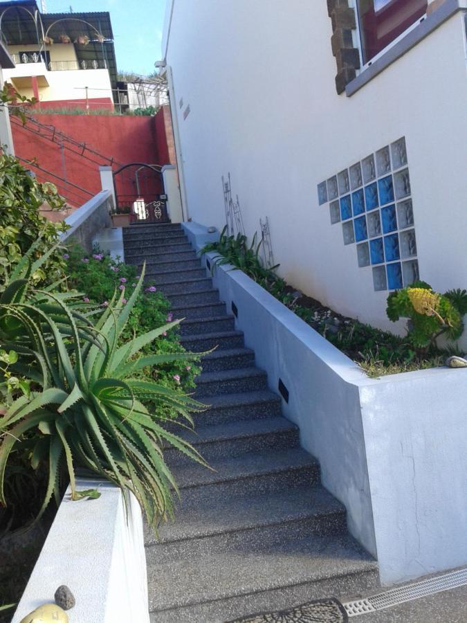 Casa-Albatros Villa Ponta do Sol  Eksteriør billede